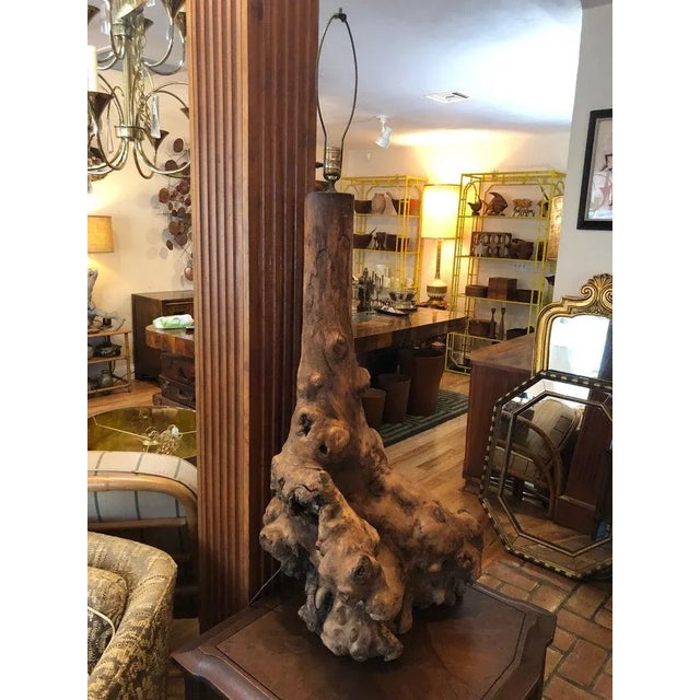 1960s Monumental Mid Century Driftwood Lamp For Sale - Image 4 of 13