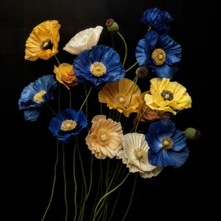 Poppies Contemporary Photograph by Michael Filonow For Sale