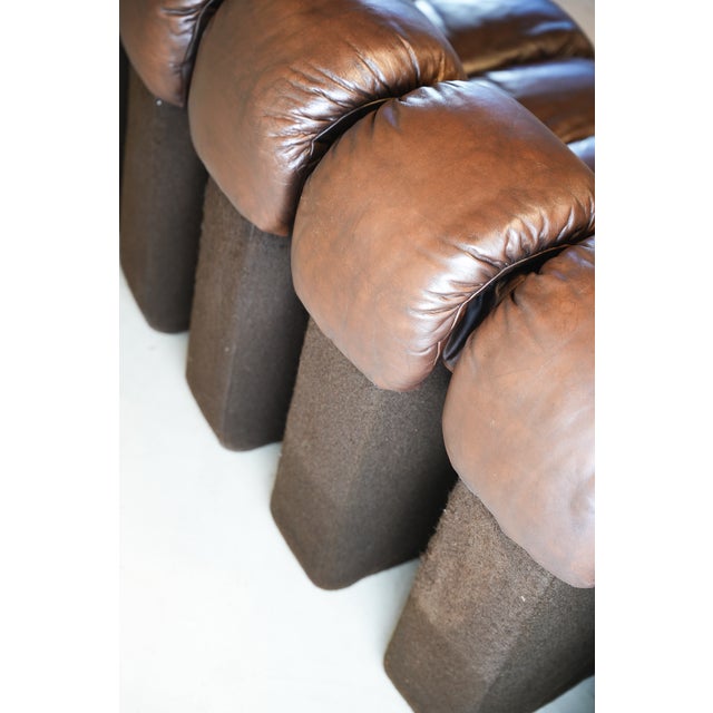 DS600 Non-Stop Snake Sofa in Brown Leather by Ueli Berger for de Sede, 1970s, Set of 16 For Sale - Image 18 of 18