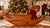 Folk Art 47” Vintage Handcrafted Rocking Horse Solid Cherry Wood,with Leather Bridle and Ears, Carved Mane For Sale - Image 3 of 10