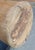 Wood Primitive American Handcrafted Wooden Umbrella Stand For Sale - Image 7 of 7