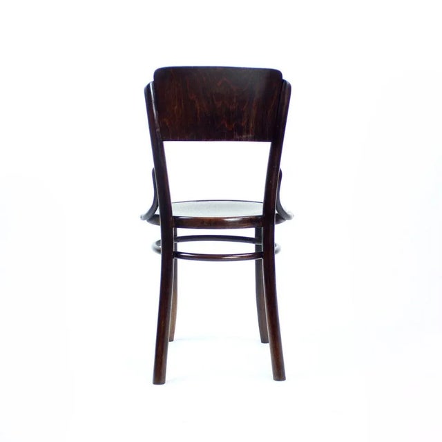 Brown Vintage Bentwood Design Chair from Tatra, Czechoslovakia, 1950s For Sale - Image 8 of 14