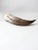 Vintage Polished Horn For Sale - Image 9 of 12