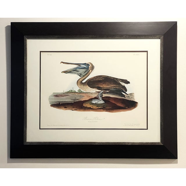 Late 20th Century Framed Audubon Bird Prints - A Pair For Sale - Image 10 of 15