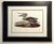 Late 20th Century Framed Audubon Bird Prints - A Pair For Sale - Image 10 of 15