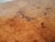 Large Burl Elm Veneer Coffee Table, 1970 For Sale - Image 9 of 18