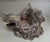 French French Silverplate Boars Head Inkwell For Sale - Image 3 of 5