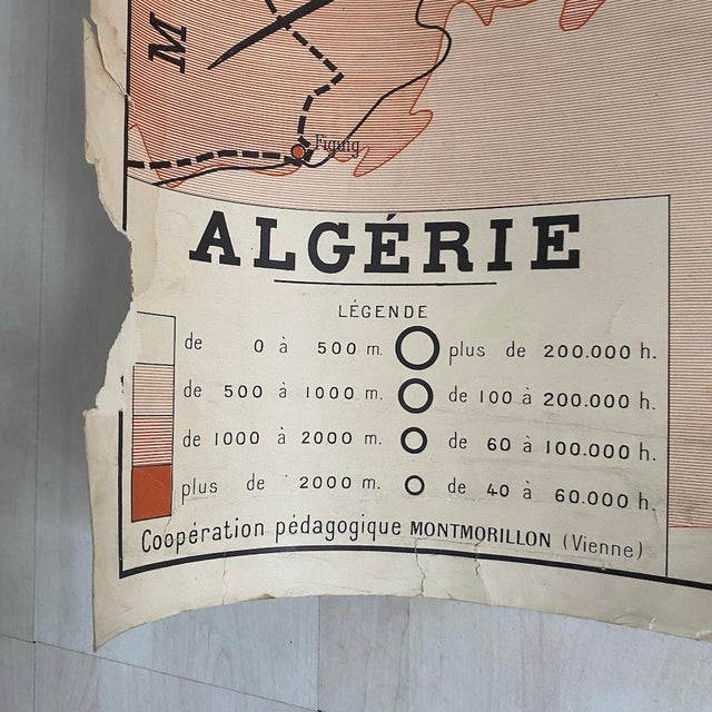 Vintage School Map, Tunisia / Algeria, 1950s For Sale - Image 13 of 14
