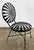 Early 20th Century Antique Francois Carre Black Sunburst Garden Chair For Sale - Image 5 of 11