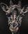A giraffe head in striking black and white, exploring light, shadow and pattern with understated elegance. Original one-...