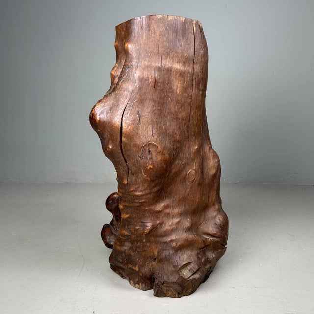 1920s Japanese Decorative Burl Wood Tsuge, 1920s For Sale - Image 5 of 18