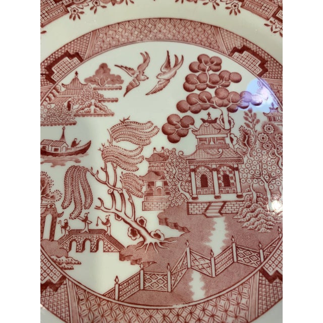 Churchill Willow Rose Pink Red and White Plate For Sale In New York - Image 6 of 7