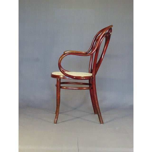 Art Nouveau Armchair from Gebrüder Thonet, 1910 For Sale - Image 3 of 12