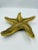 Mid 20th Century Mid 20th Century Solid Brass Starfish For Sale - Image 5 of 12