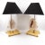 Stunning 1970s pair of table lamps by Willy Daro. Oversized sea shell mounted on a square polished brass base....