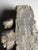Limestone Coat of Arms For Sale - Image 15 of 16