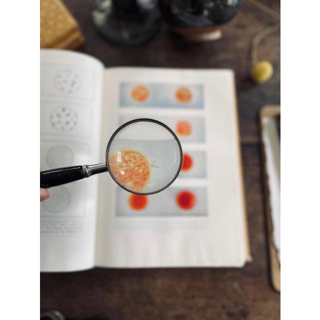 1957 the Principles of Heredity For Sale - Image 10 of 10