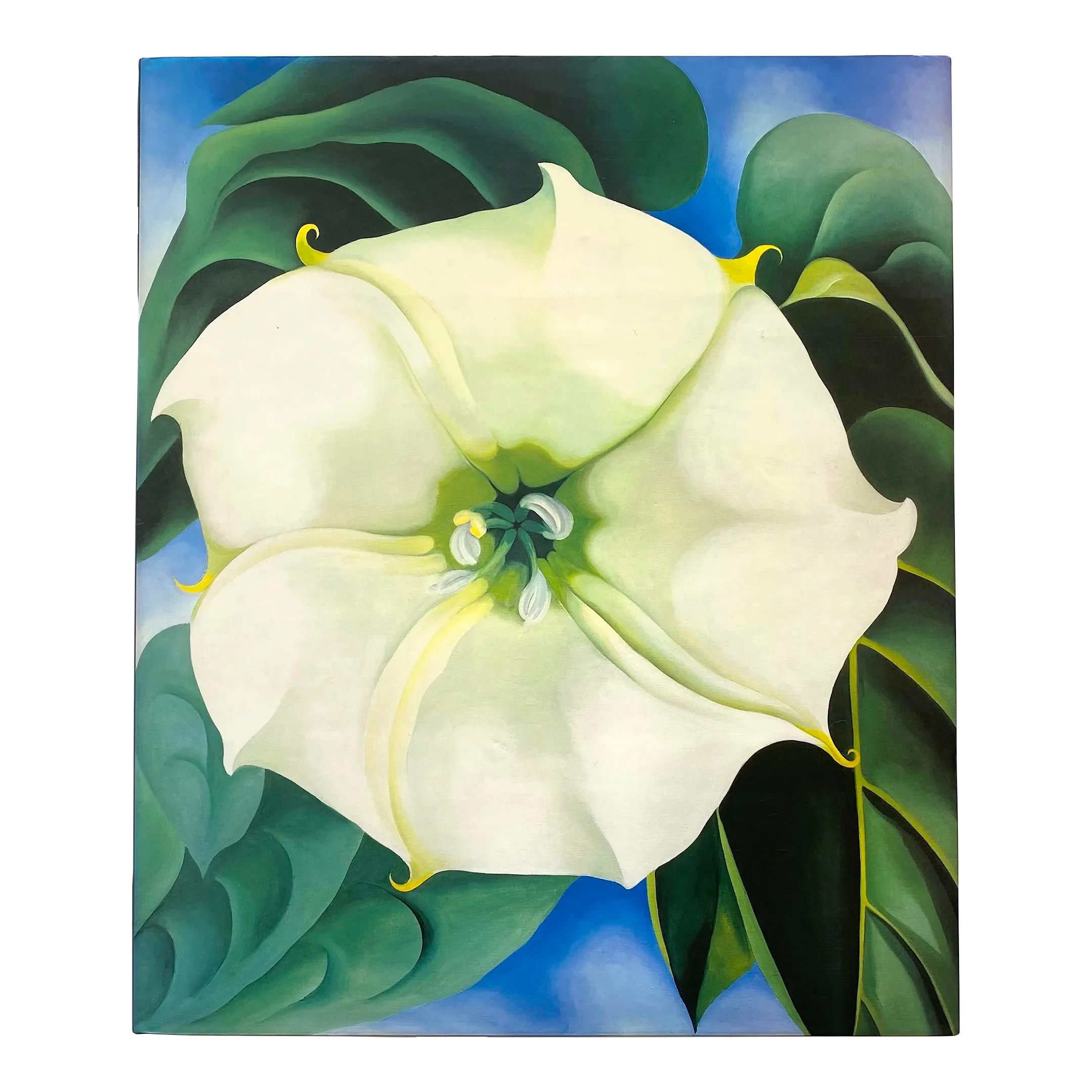 Georgia O'Keeffe 