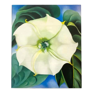 Georgia O'Keeffe " One Hundred Flowers " Vintage 1987 1st Edition Lithograph Print Monumental Extra Large Hardcover Modernist Art Book