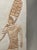 Late 20th Century Mediterranean Egyptian Figure Plaster Wall Sculpture For Sale - Image 5 of 10
