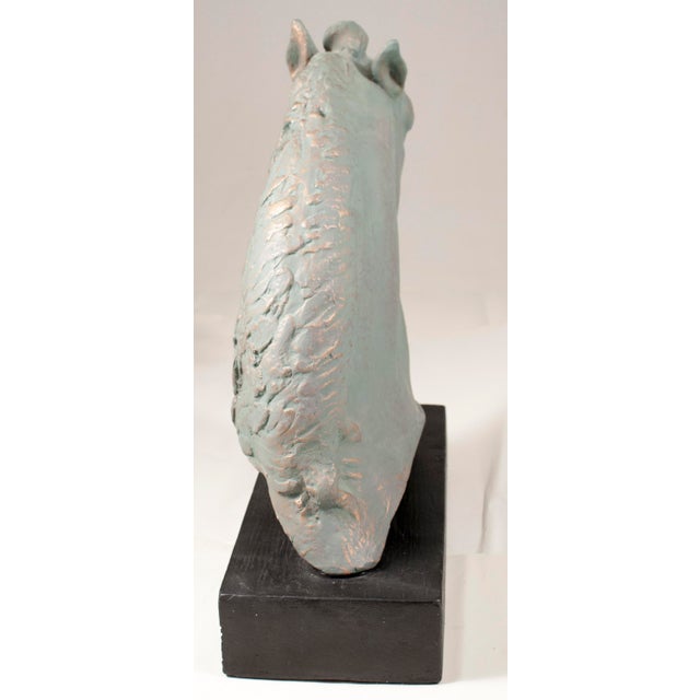 Verde Horse Head Sculpture on Black Base Attribute to Paul Wayland Bartlett For Sale - Image 9 of 9