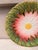 French Country French Majolica Daisy Plate Orchies, Circa 1890 For Sale - Image 3 of 4