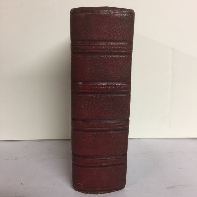 French Victorian Photo Album Cards Chairish