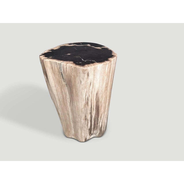 Andrianna Shamaris Modern Organic High Quality Petrified Wood Side Table For Sale - Image 4 of 5