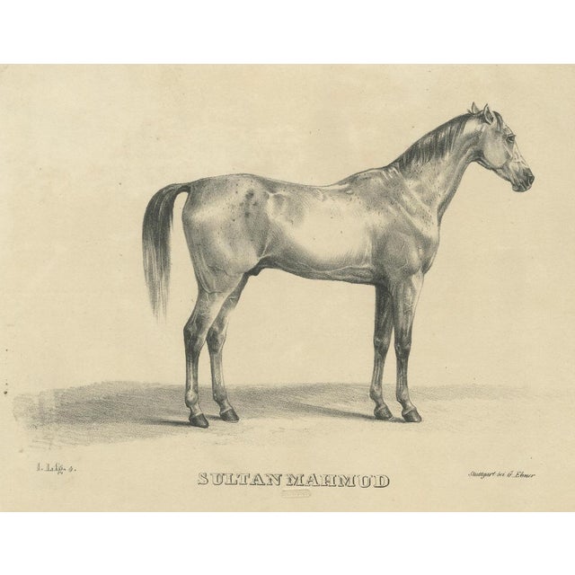 G. Ebner, Sultan Mahmoud, 1846, Lithograph For Sale - Image 3 of 9