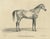 G. Ebner, Sultan Mahmoud, 1846, Lithograph For Sale - Image 3 of 9