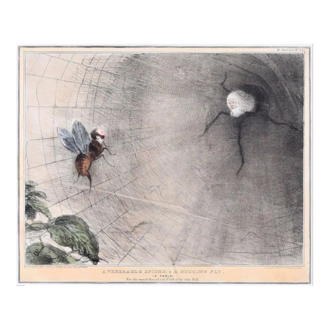 A Venerable Spider And A Buzzing – Reform Bill! - Lithograph by J. Doyle - 1831 1831 For Sale