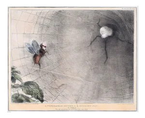 A Venerable Spider And A Buzzing – Reform Bill! - Lithograph by J. Doyle - 1831 1831