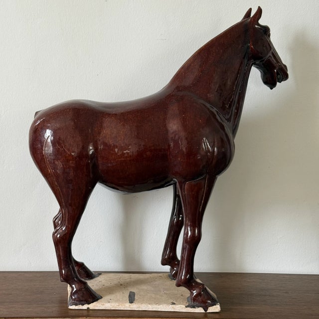 Antique Tang Sancai Terracotta Horse in Brown Glaze - Exquisite Form and Detail For Sale - Image 4 of 10