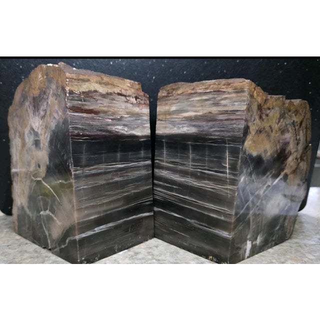 1960s XL Petrified Wood Bookends 6.5”h 5”w 4"d Natural Top Fossil Art Decor 19+ Lbs! For Sale - Image 5 of 11