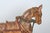 Pair of Monumental Indian Polychrome Carved Wood Horses on Wheels, 19th C. For Sale - Image 16 of 17