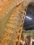 Italian Luxury "Rostrato" Murano Glass Wall Mirror in Barovier Style For Sale - Image 3 of 8