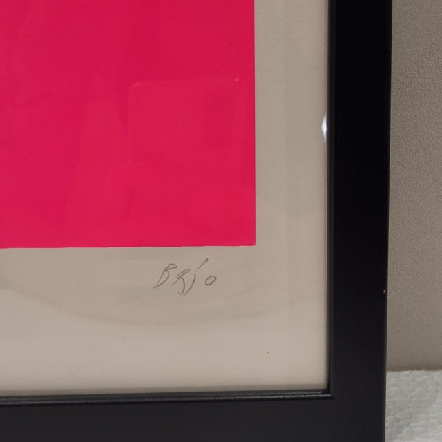 Pink Leopoldo Del Brío, Graphic Work Leopoldo Del Brío, 1976, Silk-Screen For Sale - Image 8 of 11