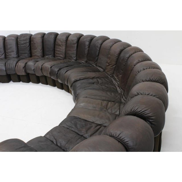 Vintage DS-600 Non Stop Snake Sofa from de Sede, 1970s, Set of 22 For Sale - Image 3 of 14