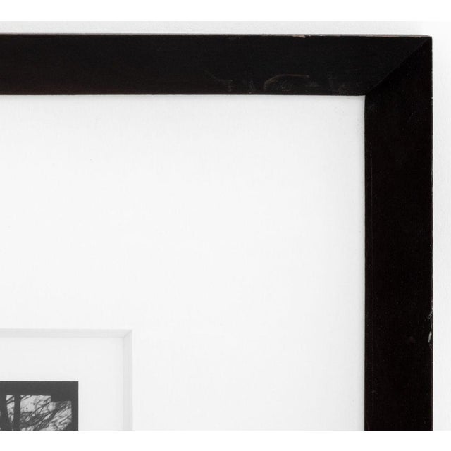 Richard Avedon "Friends in Deed" Silver Print For Sale In New York - Image 6 of 7