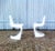 Set of A-Line 290 Side Chairs by Steen Ostergaard for Cado, 1970s For Sale - Image 11 of 12