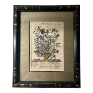 18th Century Original Engraving - Robert Furber’s Twelve Months of Flowers (February)