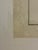 Traditional Natural Curiosities “Sheregrig” After James Bruce Framed Bird Print For Sale - Image 3 of 7
