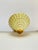 Vintage Yellow & Gold Seashell Hanging Vase For Sale - Image 4 of 6