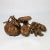 Japanese Japanese Shōwa Carved Boxwood Okimono With Cicada For Sale - Image 3 of 11