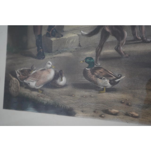 Vintage European Color Engraving of Horse For Sale - Image 11 of 12