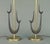 1970s 1970s Pair of Tall Mid-Century Modern Table Lamps, Biomorphic Design and Decorations, Glass Shades For Sale - Image 5 of 10