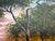 Early 21st Century M Gordon Signed Oil Painting Tropical Sunset Seascape Ocean Landscape Framed For Sale - Image 5 of 12