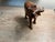 Mid-Century Modern Vintage Hand Carved Wooden Sculpture of an Asian Water Buffalo For Sale - Image 3 of 8