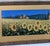 Late 20th Century Large Tuscan Sunflower Panorama Framed & Matted Landscape Print Rustic Italian Countryside For Sale - Image 14 of 17