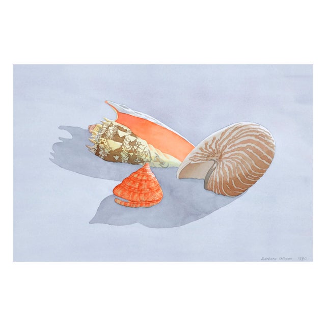 Gorgeous watercolor of seashells by Northern California artist Barbara I. Gibson (American, 20th Century).Signed "Barbara...